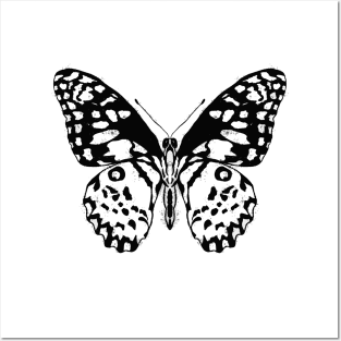 Inky Butterfly Posters and Art